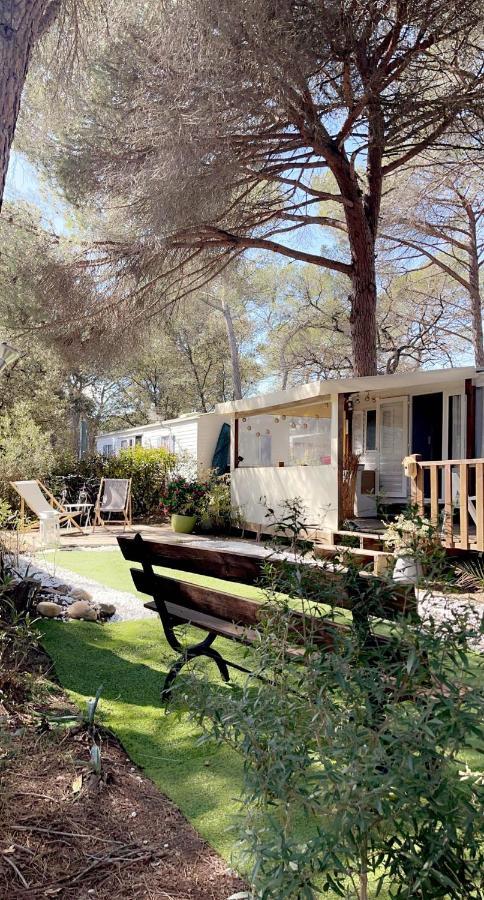 Camping Oasis Village Puget-sur Argens Kültér fotó